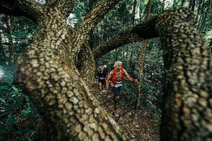 BIB: 
                            <button type="button" onclick="openModal(25392646)" class="btn btn-primary btn-sm float-right btn-popup" data-toggle="modal" data-target=".modal-high-quality">
                        <i class="fas fa-shopping-cart"></i> Add to Cart
                    </button>
                                            <button type="button" onclick="isThisMe(25392646, true)" class="btn btn-success btn-sm float-right btn-popup btn-isme hidden" data-toggle="tooltip" data-placement="bottom" title="นี่คือรูปของคุณใช่ไหม คลิกที่นี่เพื่อเอาเข้าอัลบั้ม">
                        <i class="fas fa-plus"></i> Add to album
                    </button>
                    <button type="button" onclick="isThisMe(25392646, false)" class="btn btn-warning btn-sm float-right btn-popup btn-isnotme hidden">
                        <i class="fas fa-ban"></i> Remove from album
                    </button>